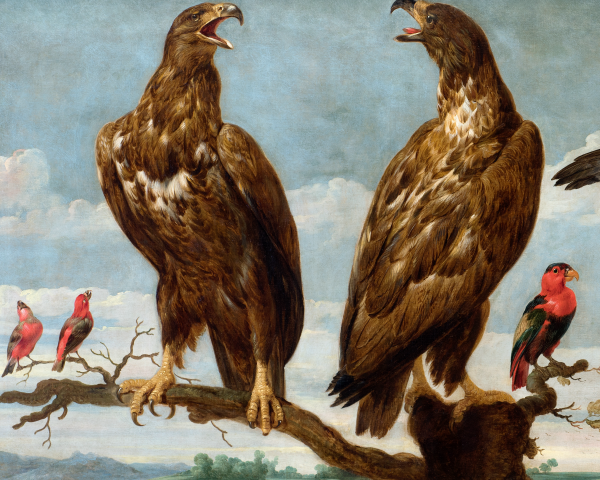 The Rooms, 2 eagles on a branch with red parrots
