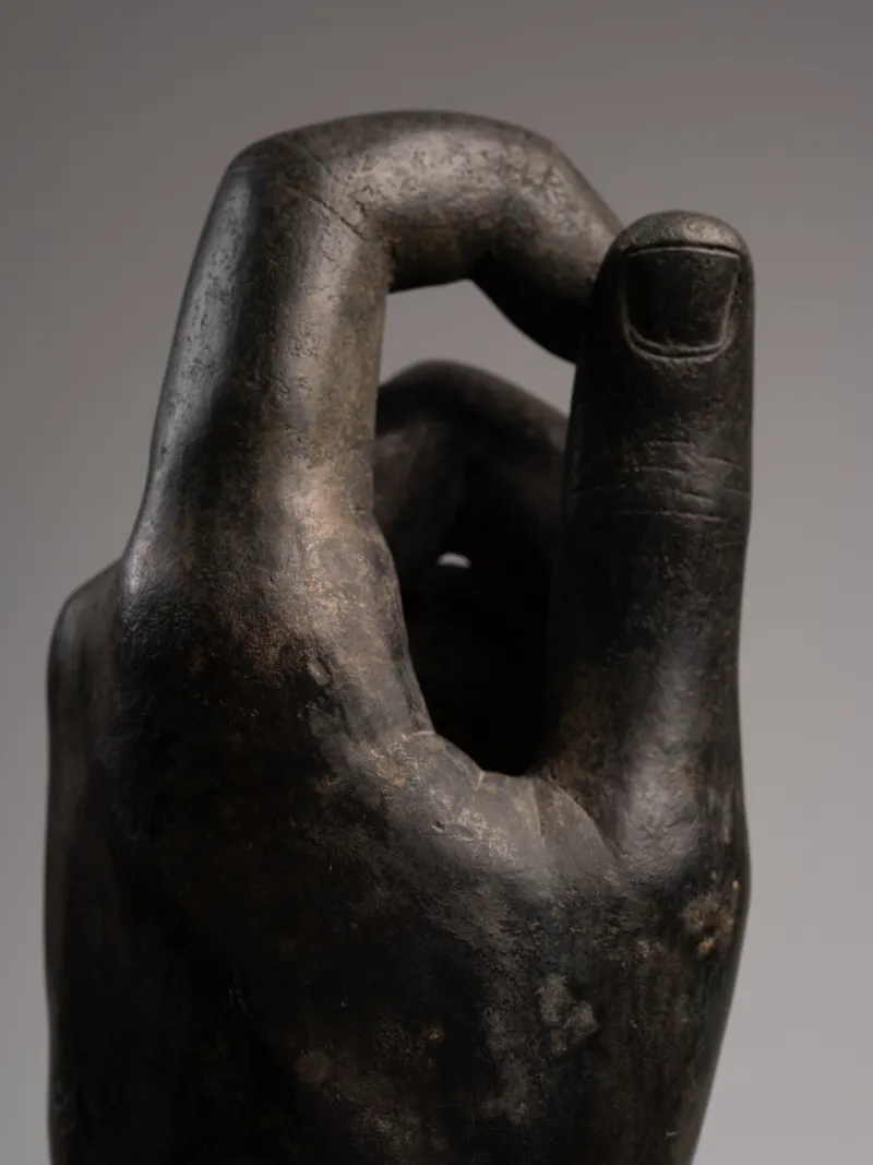 Monumental Left Hand — detail