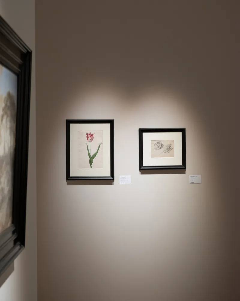 BRAFA 2026