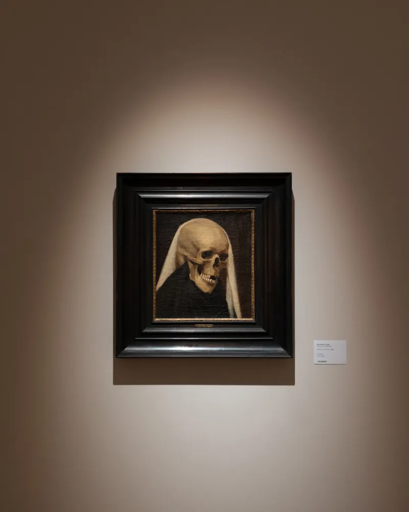 BRAFA 2026