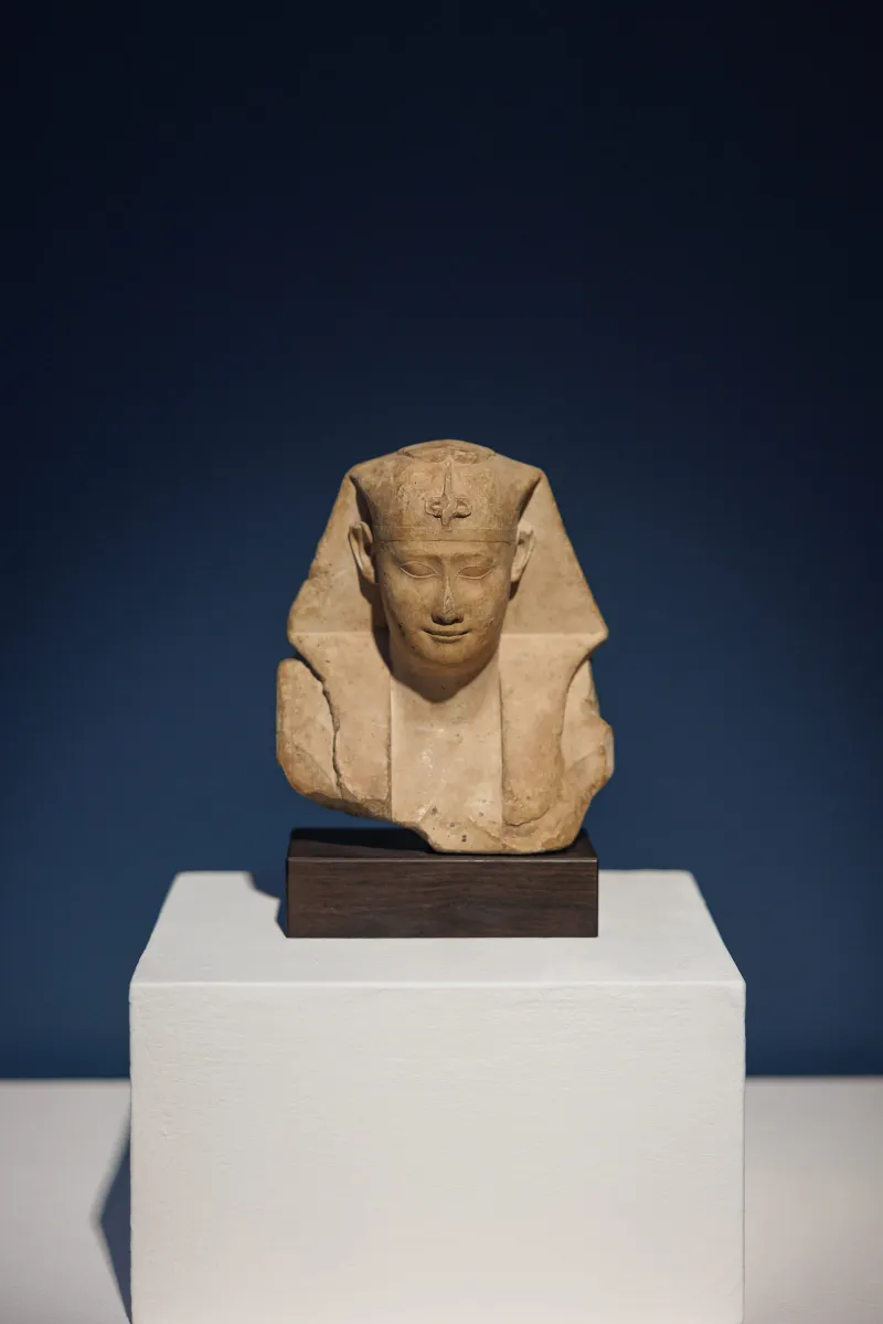 Out of the Sand: Ancient Egypt Rediscovered