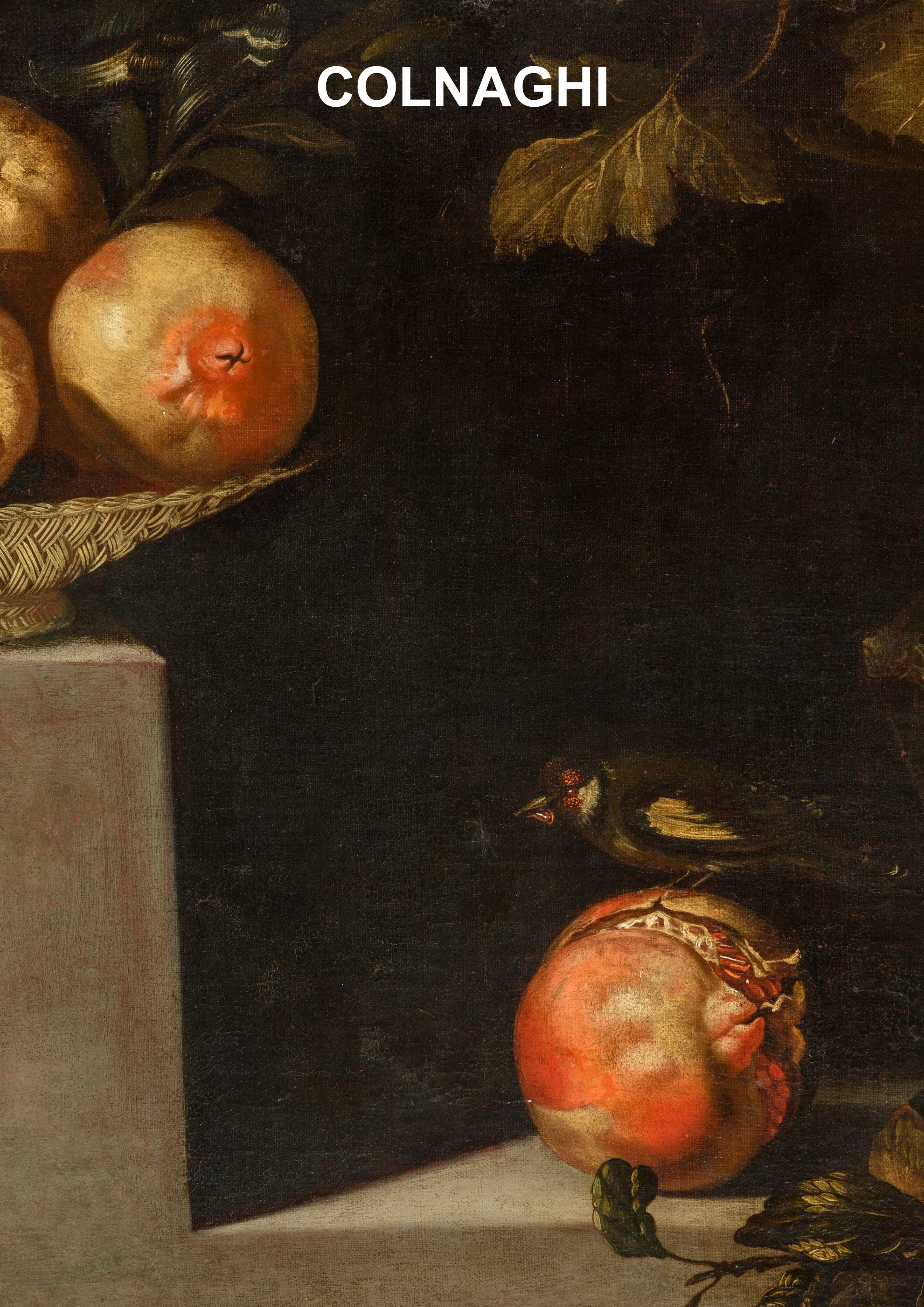 The Danger of Beauty — Press Release